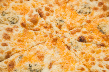 four cheese pizza cut into 8 parts - food background