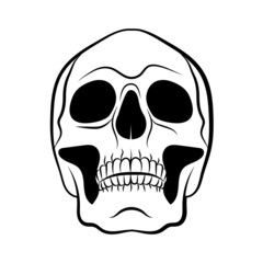 Seamless pattern with skulls. Vector illustration. Halloween background