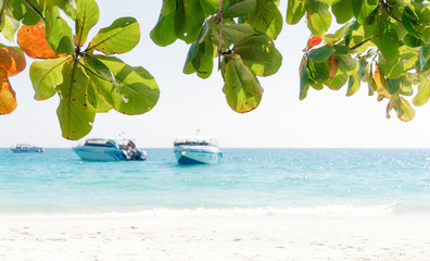 Beach landscape. White sand, boats and the sea. Green leaves on a background of the sea.