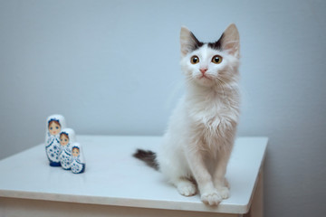 A small white kitten with a black spot on his forehead sits on a white chair. Nearby there are three dolls in blue patterns.