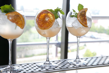 gin and tonic with mint ice and dried grapefruit