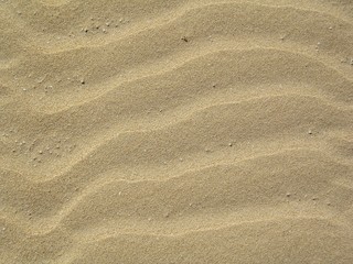 Arena de playa de color dorado