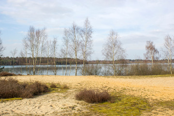 National Park Maasduinen in the Netherlands