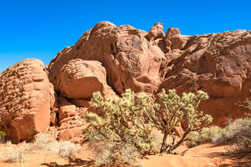 The unique red sandstone rock formations in Valley of Fire State park, Nevada, USA