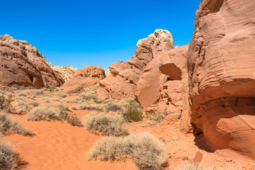 The unique red sandstone rock formations in Valley of Fire State park, Nevada, USA