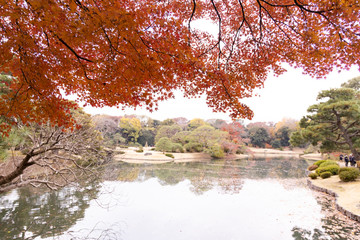 六義園の紅葉