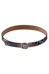 Subject shot of a showy goldish leather belt with black snake print and a golden buckle. The stylish belt is isolated on the white background.