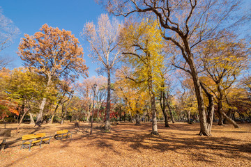 井の頭恩賜公園