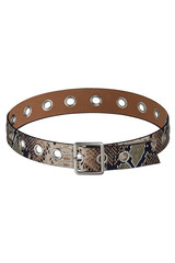 Subject shot of a showy beige leather belt with black snake pattern, a silver buckle and silver eyelets. The stylish belt is isolated on the white background.