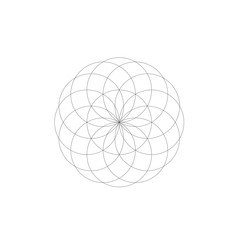 flower of life geometry 12 petals