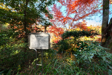 井の頭恩賜公園
