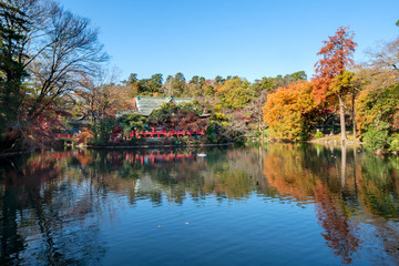 井の頭恩賜公園