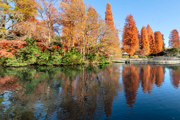 井の頭恩賜公園