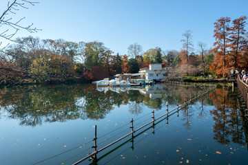 井の頭恩賜公園