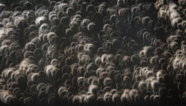 Crescent shaped shadows during solar eclipse