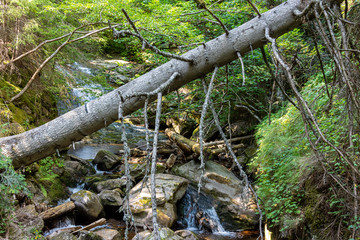 Smolyan Canyon of Waterfalls