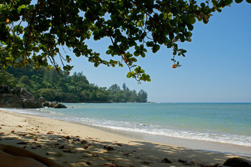 Coast of the Andaman sea. Sandy beach in the shade of a tree. Light waves roll ashore. Mountains in the background. A feeling of warmth and calm. Landscape from under a tree branch