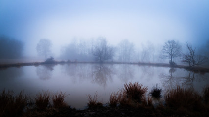 Winter fog on a small lake or pond with reflections