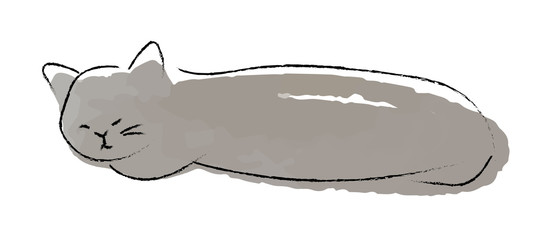 9 6 Animal Biology Cat Wall Murals Canvas Prints Stickers Wallsheaven