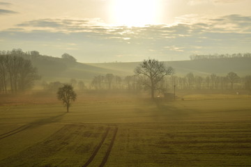 goldener Nebel über der Eifel