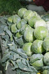 Fototapeta na wymiar cabbage or patta kobi in Indian market