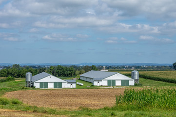 Chicken Houses in the Valley