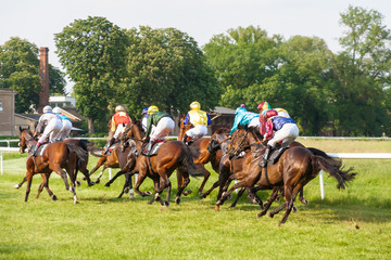 Pferde mit Jokeys auf einem Derby