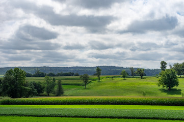Fototapeta na wymiar Lush Green Farmland in the Rural Countryside