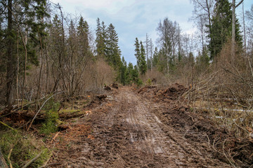 Impassable forest road of mud and clay, offroad. Very bad road, mud and water, you can not pass..