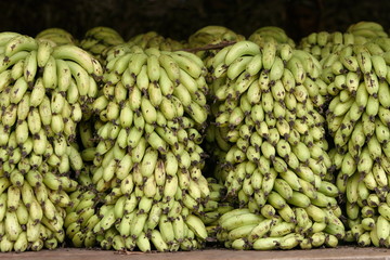 Banana for sale in market