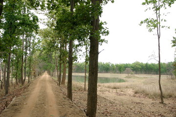 Sonder lake in Mukki renge of Kanha National Park, Madhya Pradesh, India 