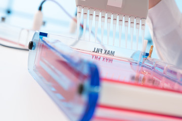 Loading Samples and Running an Agarose Gel for electrophoresis, Gel electrophoresis is the standard...