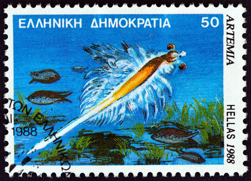 Artemia salina shrimp (Greece 1988)