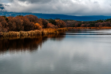 Fototapeta premium Valmayor Reservoir, El Escorial, Madrid, Spain.
