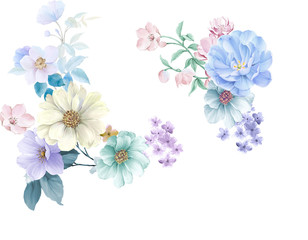 Watercolor flowers 