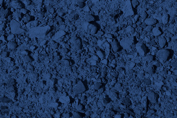 Color year 2020 blue flowers background