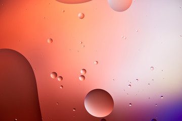 Beautiful abstract background from mixed water and oil bubbles in red and purple color