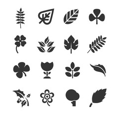 leaf plants set icon vector illustration for website and graphic design symbol