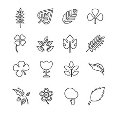 leaf plants set icon vector illustration for website and graphic design symbol