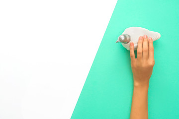 Dove in hand. Mint Background and white.