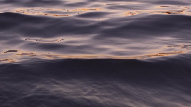 Close-up of the surface of the water in the river at sunset in the fall. Recorded in Raw on Blackmagic camera.