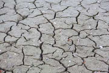 Cracked ground texture