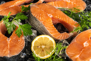 Salmon steaks on ice with lemon and herbs