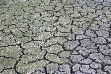 Cracked ground texture