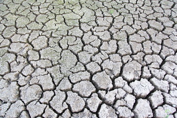 Cracked ground texture