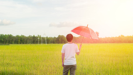 young man and red umbrella and yellow rice in the rice fields.