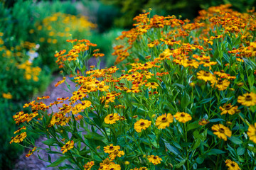 D, Bayern, Augsburg, Botanischer Garten