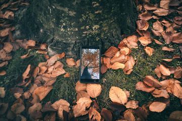 Fotografiando el otoño con un teléfono inteligente en el suelo mostrando una imagen en la...