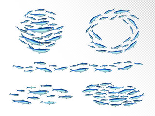 Fish School Realistic Set 