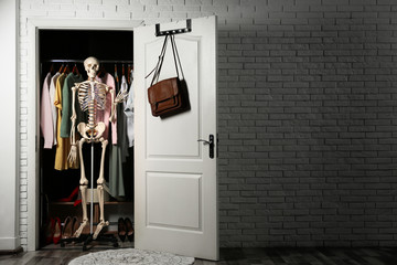 Artificial human skeleton model in wardrobe room, space for text